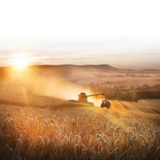 Tractor in field