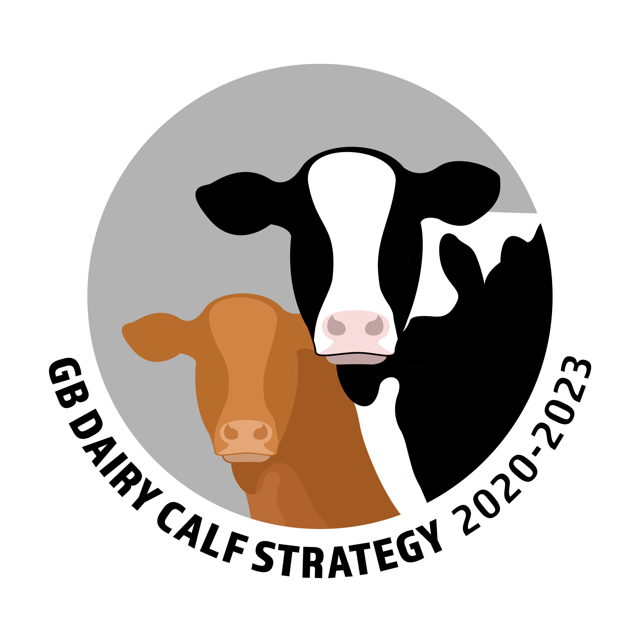 The second Great British Calf Week kicks off on the 16 November