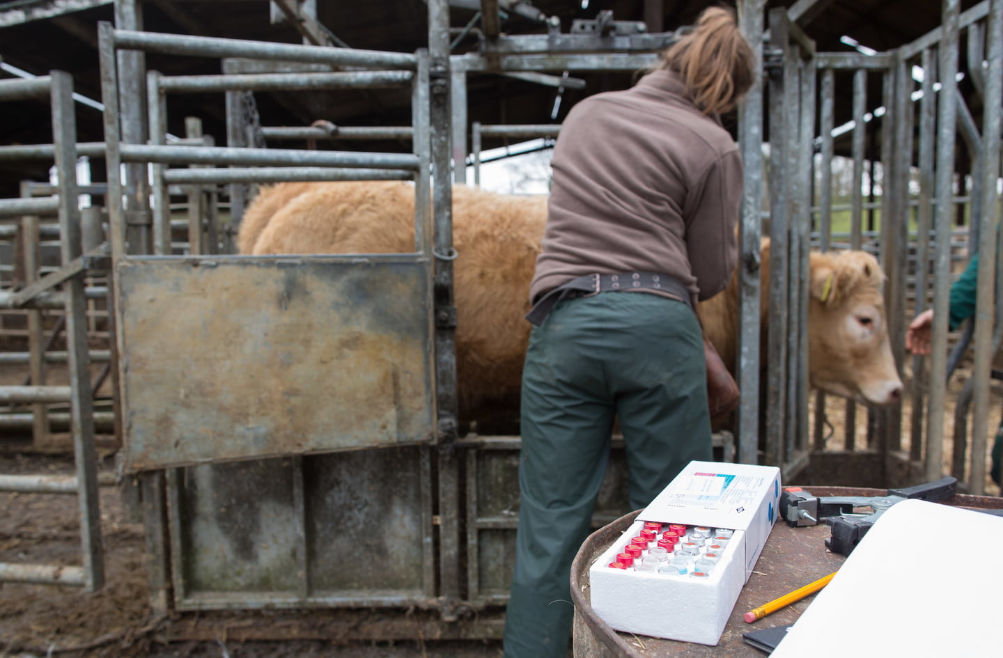 Red Tractor membership covers new vet attestation rules.