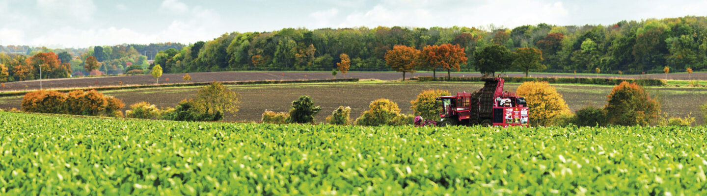 Combine harvester in a field