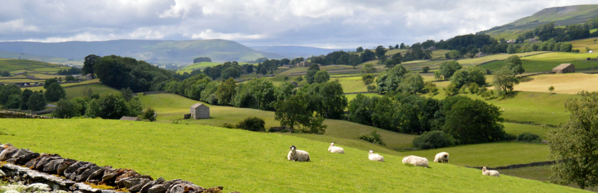 Red Tractor Board Update – September 2024