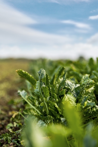 Find out about the changes to standards from 1 February 2025