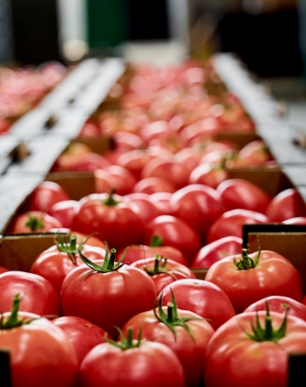 How Red Tractor is Reducing Audit Burden for Fresh Produce Growers