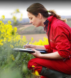 Woman in a field