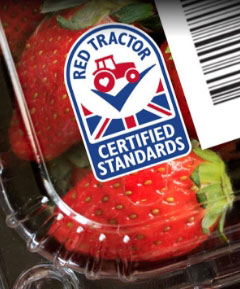Strawberry packaging