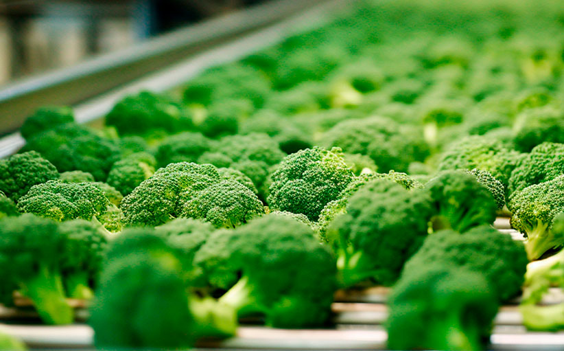 Broccoli