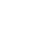 Pork standards icon