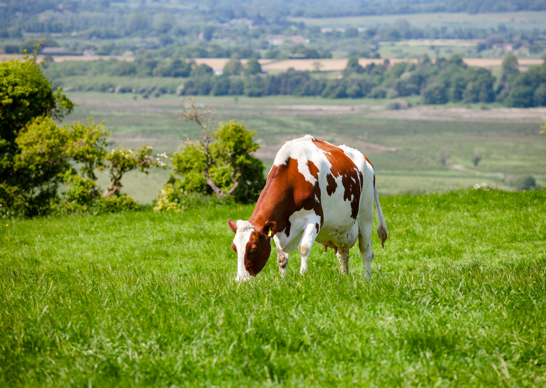 We all have a part to play to protect British Agricultures reputation