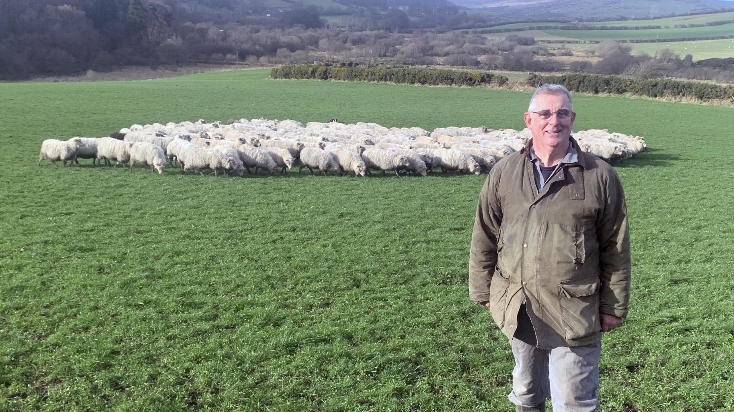 West Country farmer John Dracup appointed Red Tractor Beef and Lamb sector board chair