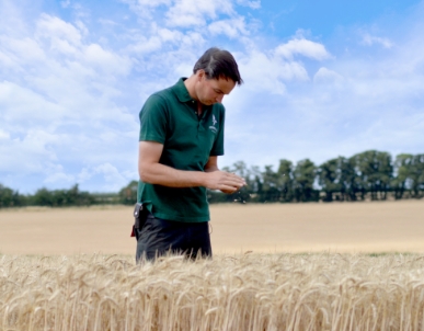 Farmer in a field