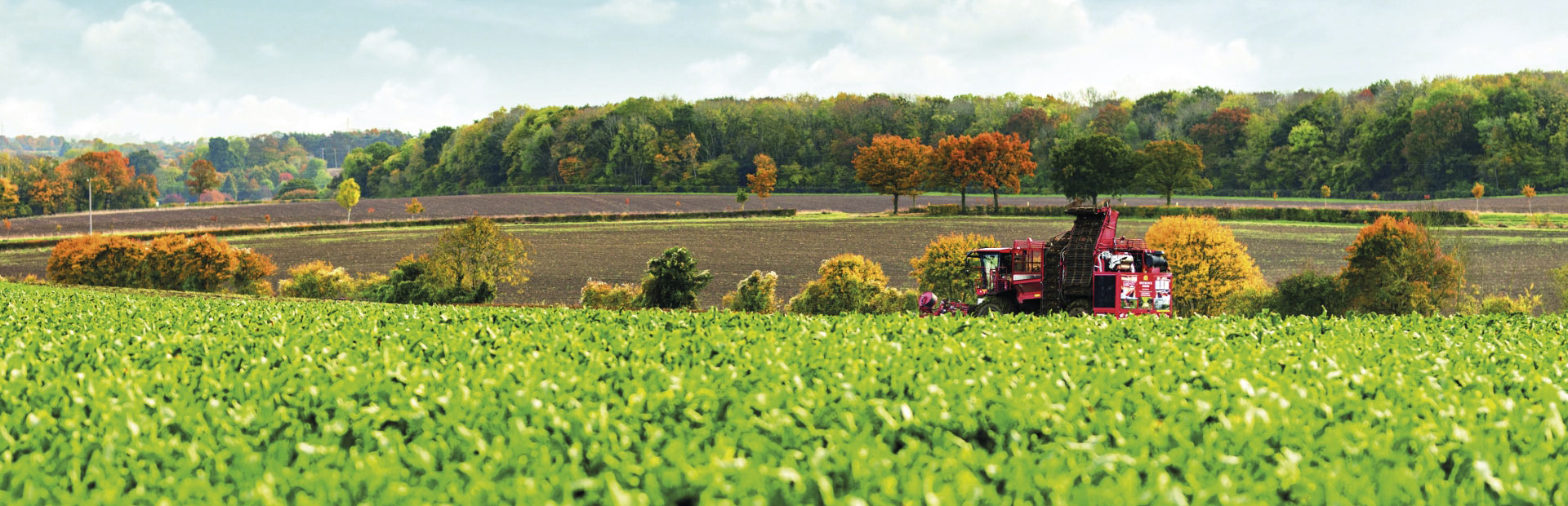 Combine harvester in a field