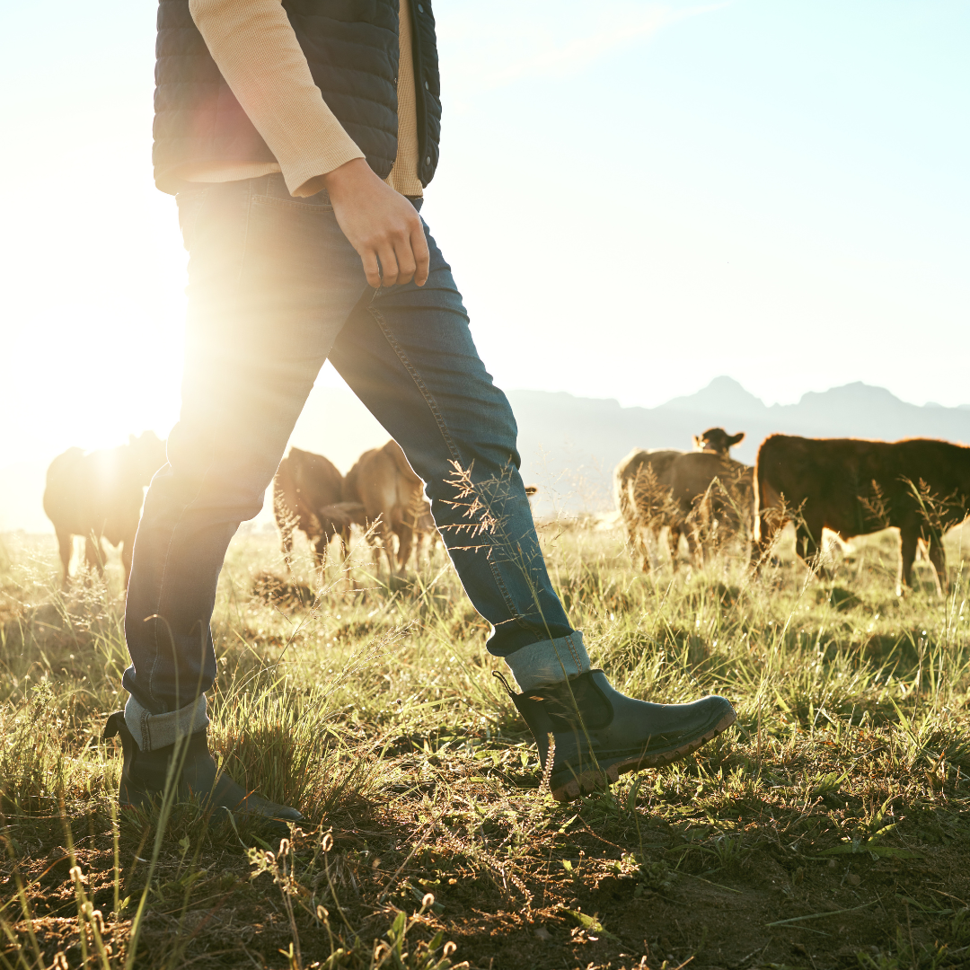 New grant opportunities for English farmers: could the FETF help you? 