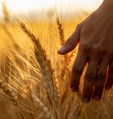 Seeking support if you’re struggling with mental wellbeing