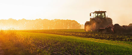 Tractor ploughing in sunset