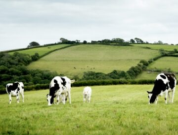 Red Tractor welcomes Farm Profitability Review