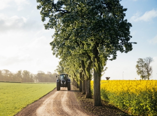 TAC Chairs share updates on the standards review process